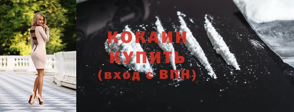 молекула духа Дмитриев
