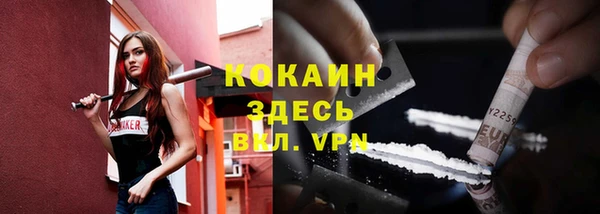 гашик Дмитровск
