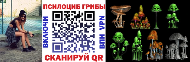 МЕГА вход  маркетплейс официальный сайт  Псилоцибиновые грибы MAGIC MUSHROOMS  как найти закладки  Южно-Сахалинск 